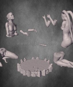 Rey and Talon stl diorama