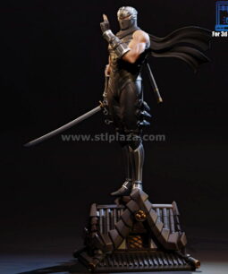 Ryu Hayabusa stl figure