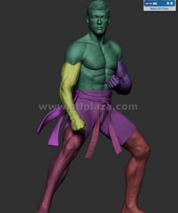 Frank Dux 3d stl file